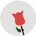 Memorial wall tulip
