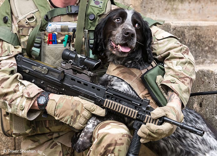 Dog with soldier